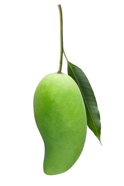 白色背景上孤立的绿色芒果。剪切路径。图片下载