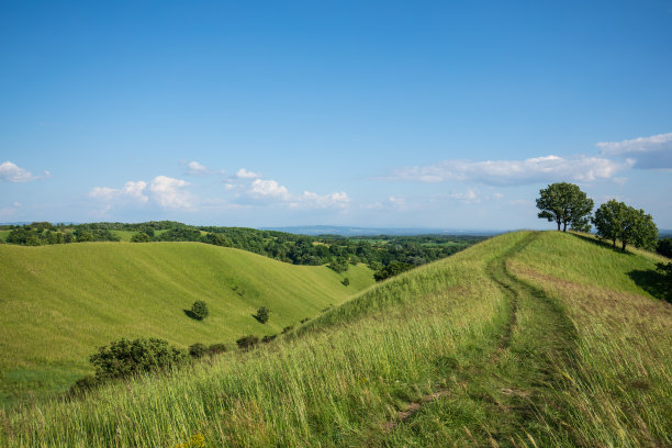 夏天的风景，山上有草地和清澈的蓝天。库存图片图片下载