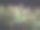 植物在黑暗中生长图片下载