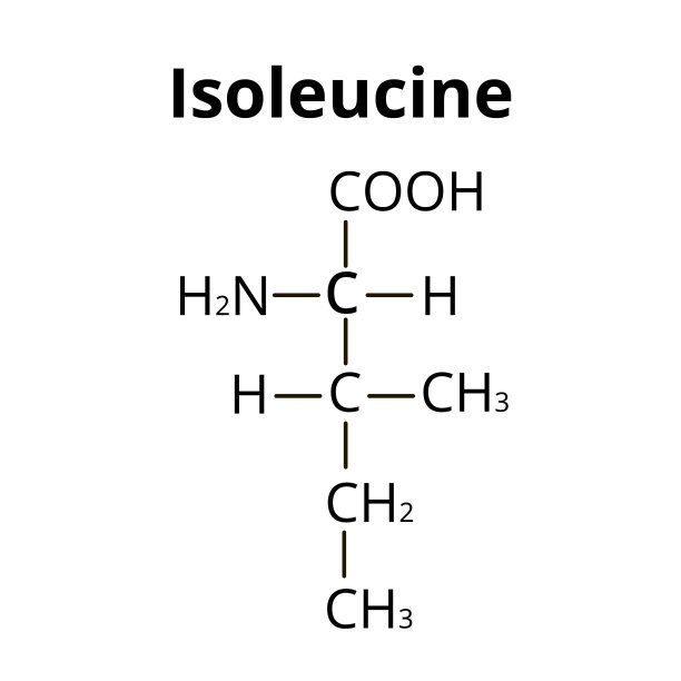异亮氨酸化学分子式图片下载