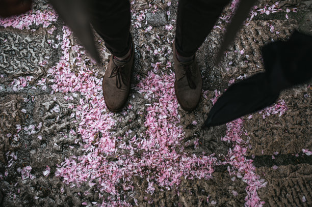 人的脚在花丛中行走图片下载