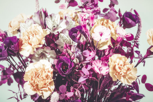 花束花有康乃馨、水仙花和口水仙。健美的,彩色照片。图片下载