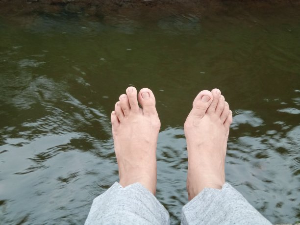 漂浮在水面上图片下载