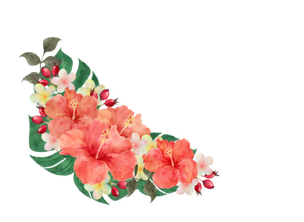 水彩木槿花束图片下载