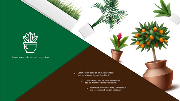 写实家居植物构图图片下载