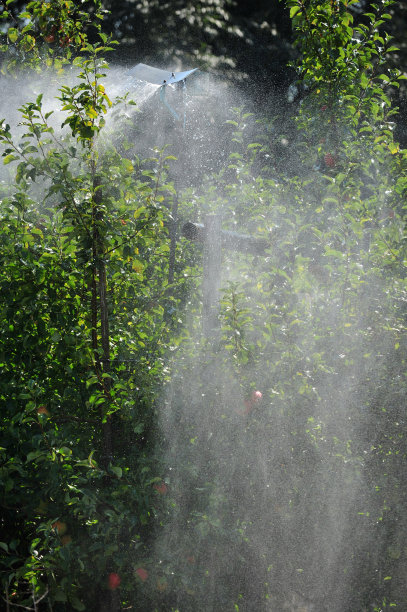 水果园图片下载