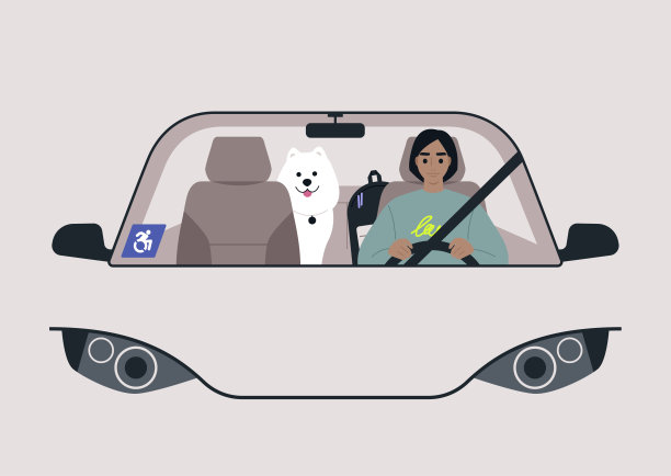 一个身体受损的年轻女性驾驶着一辆车，挡风玻璃上有一张蓝色的轮椅停车许可证图片下载