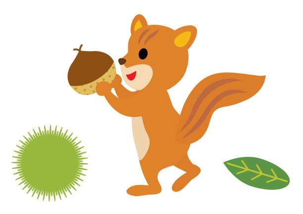 可爱的松鼠在收集栗子。图片下载