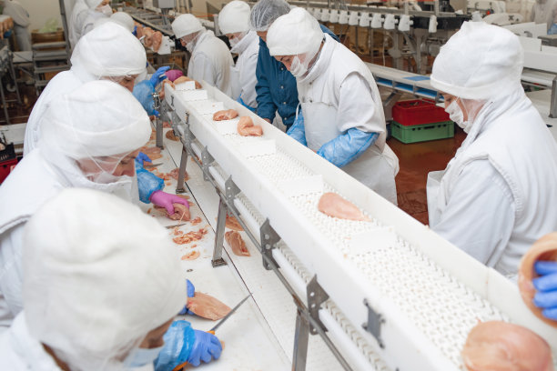 工作的人。食品厂生产线，库存照片。图片下载