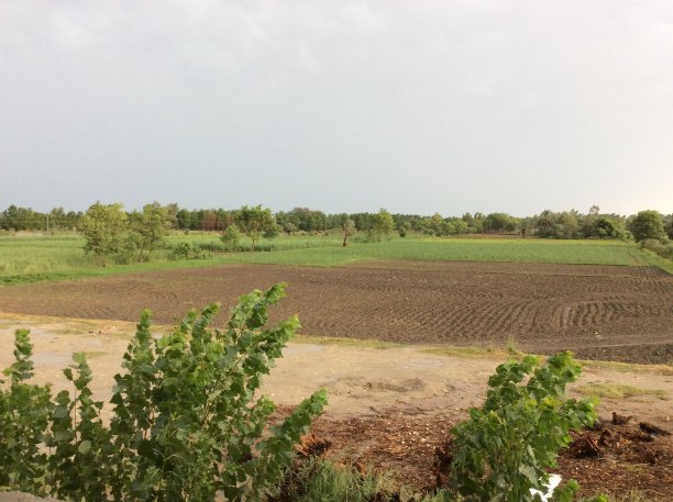 农业用地图片下载