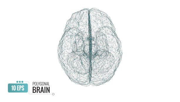 抽象三维线框涂鸦人脑插画图片下载