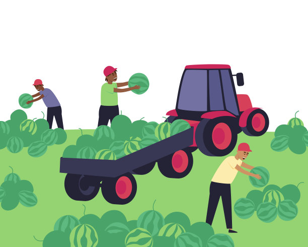 在农场收割西瓜图片下载