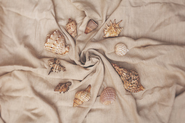 各种贝壳和谐地排列在亚麻布上，夏日背景图片下载