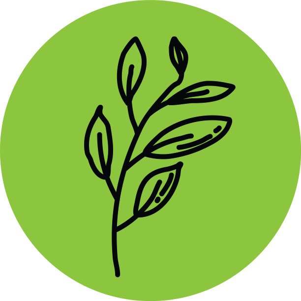 小叶子在一根白色的细枝上图片下载