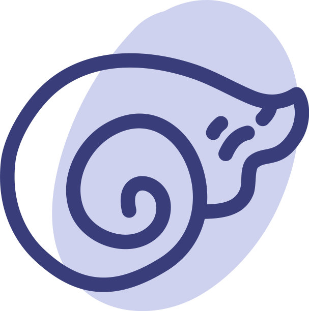 白色背景上环绕的海贝壳图片下载