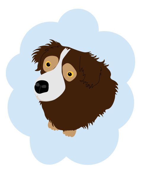 可爱的棕色狗图片下载