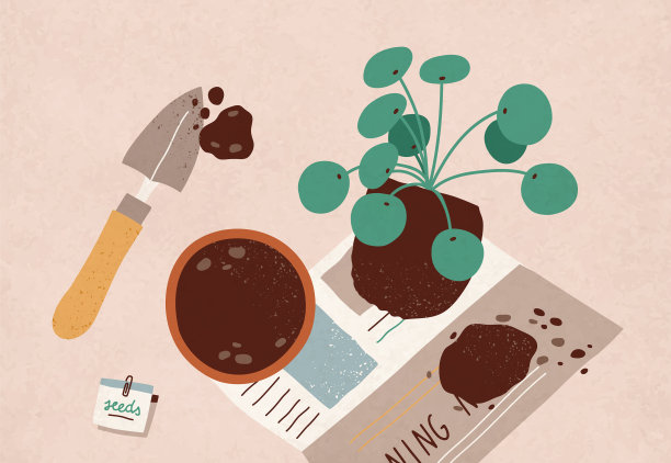 将花萼重栽于盆中图片下载