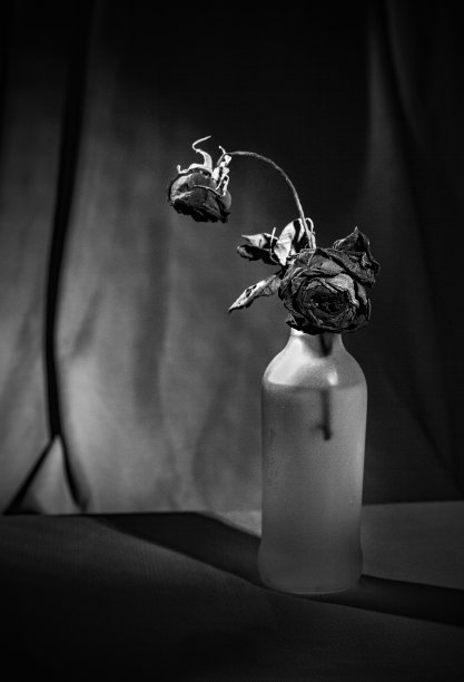 静止生命图片下载