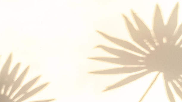 花影夏日背景。在抽象的热带阳光纹理中，白色墙壁上的植物叶影。空棕影黄色纹理图案。图片下载