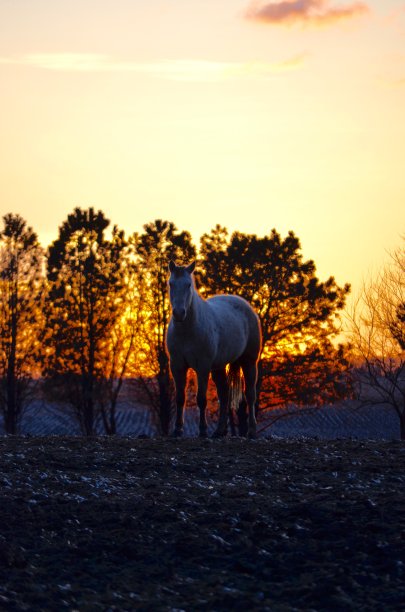 西方生活方式图片下载