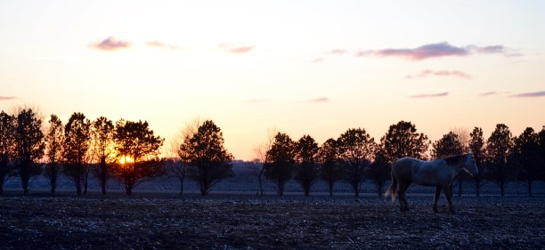 西方生活方式图片下载