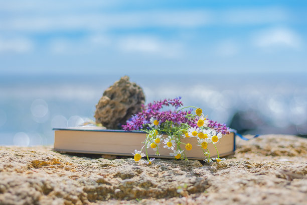 花和一块小石头上的一本书以大海为背景。图片下载