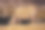 纳米比亚沙漠中一头犀牛在夜间站在池塘边的特写镜头。非洲野生动物摄影。图片下载