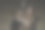 家猫(宠物)在日常生活中的可爱样子图片下载