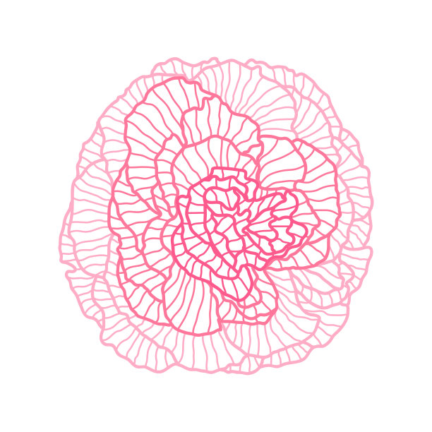 线形玫瑰美丽装饰图片下载