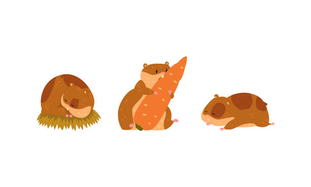 可爱的小宠物仓鼠，有颊囊图片下载