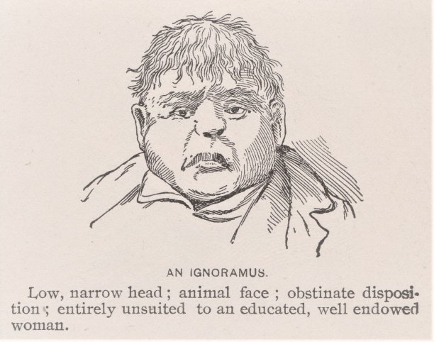 人漫画野蛮的欺凌，卡通，漫画，美术课图片下载