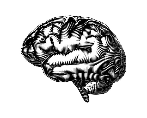 抽象复古雕刻侧人脑矢量插图图片下载