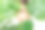 近距离的肖像年轻美丽的女人完美光滑的皮肤在热带的树叶图片下载
