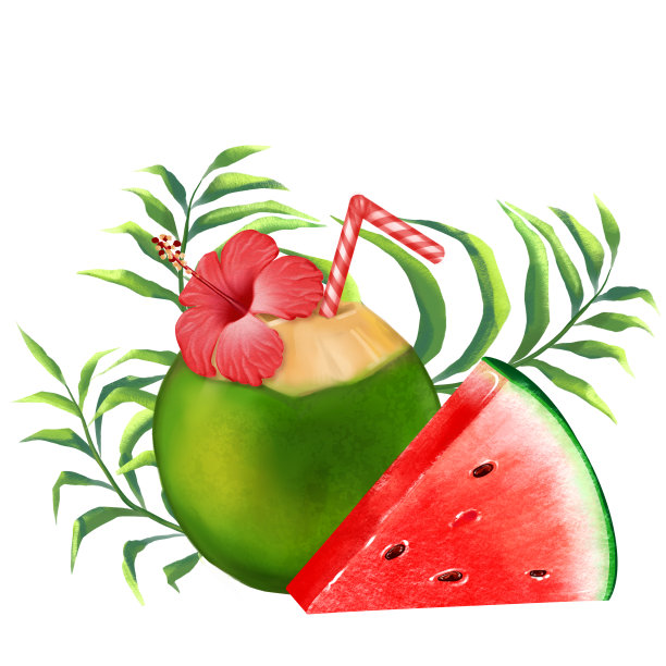 椰子鸡尾酒，西瓜片和热带叶插图图片下载