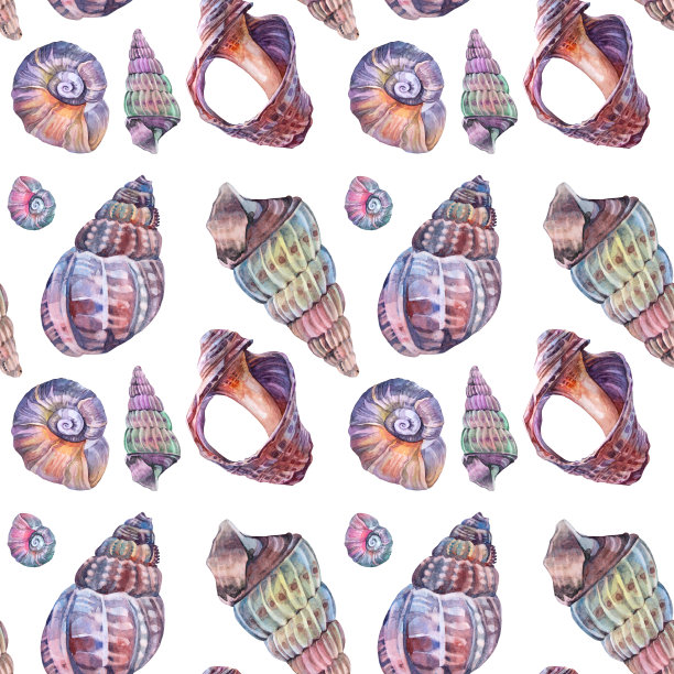 无缝模式水彩粉红色棕色破坏海贝壳孤立在白色背景。手绘自然现实对象庆祝，文具，卡片，墙纸，纺织品，包装，花店图片下载