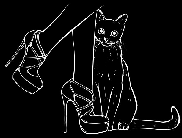 猫抬头望着美丽的女腿图片下载