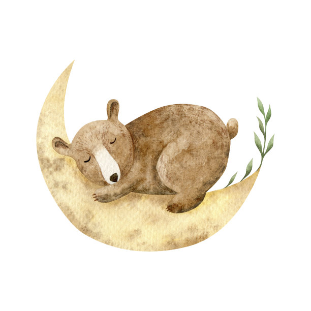 可爱的小熊躺在月亮上用树叶装饰的水彩画插图。图片下载
