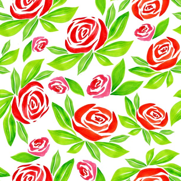 白色背景上有叶子的红玫瑰图片下载