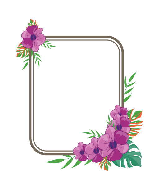 美丽的矢量花叶安排设置图形优雅的花和叶在彩色插图。可以用于你的婚礼或任何邀请模板吗图片下载