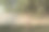 女孩提着篮子走在阳光下的乡村，俄罗斯乡村的色彩图片下载