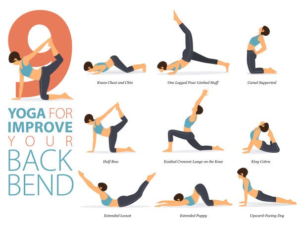 9 .瑜伽姿势或体位，用于瑜伽锻炼中提高后弯概念。为身体伸展运动的女性。健身信息图表。平的卡通向量图片下载