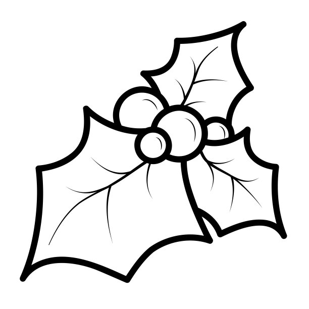 圣诞涂色书或书页。冬青黑白矢量插图图片下载