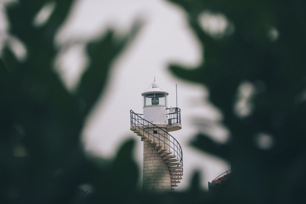 灯塔的顶端穿过树枝图片下载