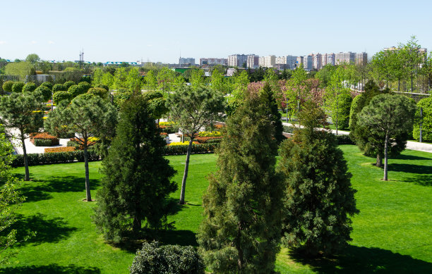 克拉斯诺达尔的加利茨基公园图片下载