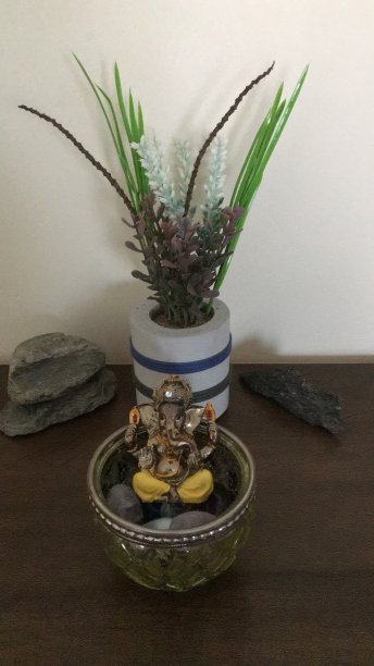 甘尼萨图片下载