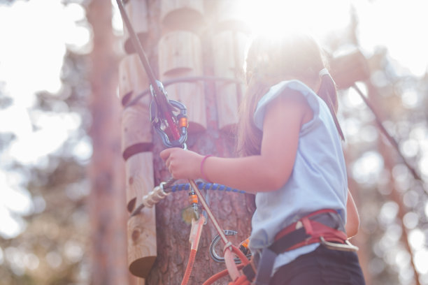 孩子站在树上，拿着保护装置，当太阳照耀它图片下载