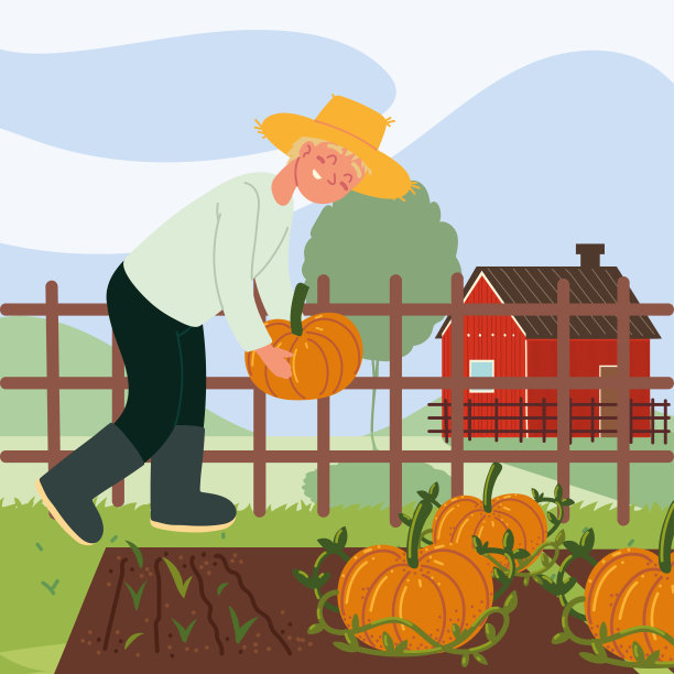 农夫正在采摘南瓜图片下载