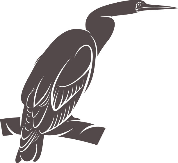 蛇鸟设计创意蛇鸟标志图片下载