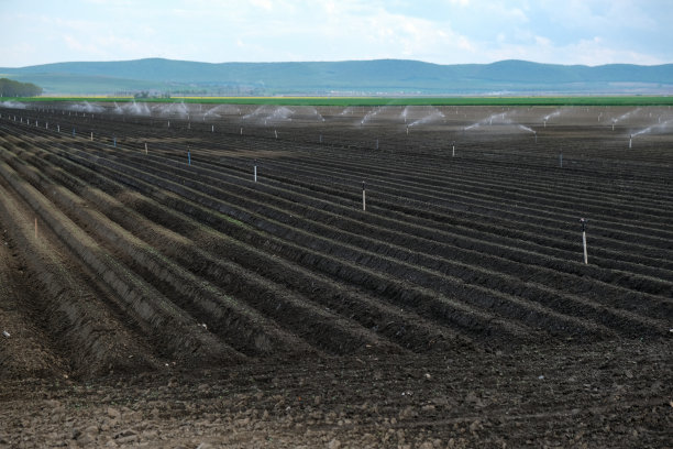 洒水器灌溉刚犁过的农田图片下载