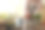 阳台上的围裙内雌鼠再植小灌木图片下载